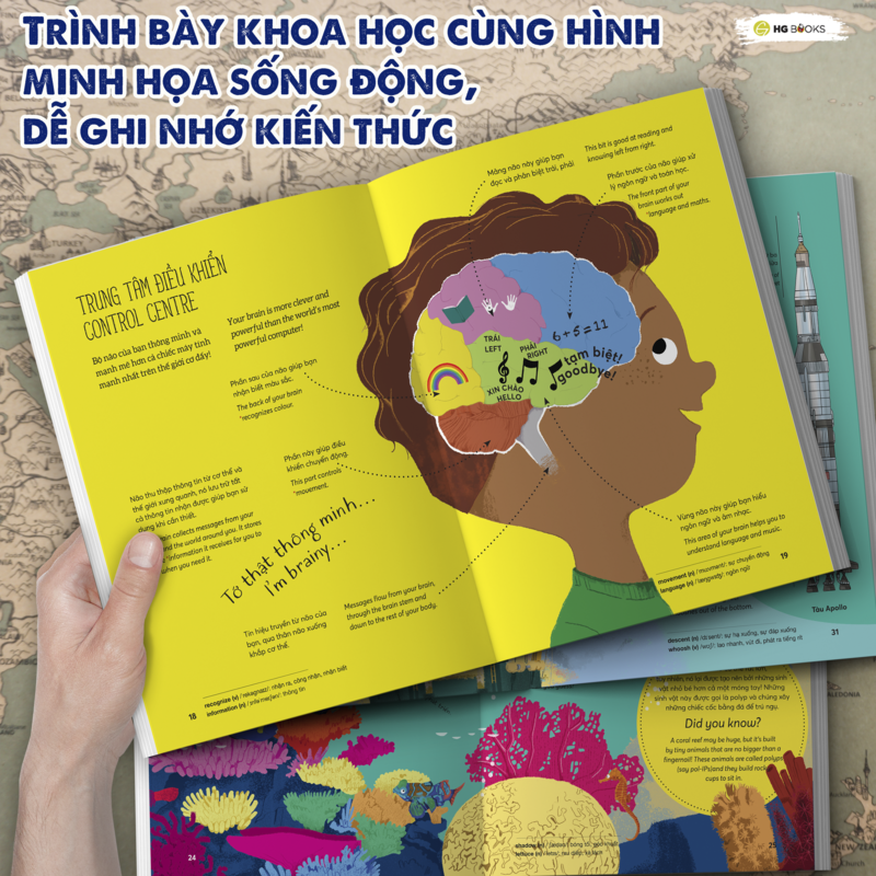 Wow! Your Body: Những sự thật đáng kinh ngạc về cơ thể người - Sách Bách khoa toàn thư Song ngữ cho trẻ em