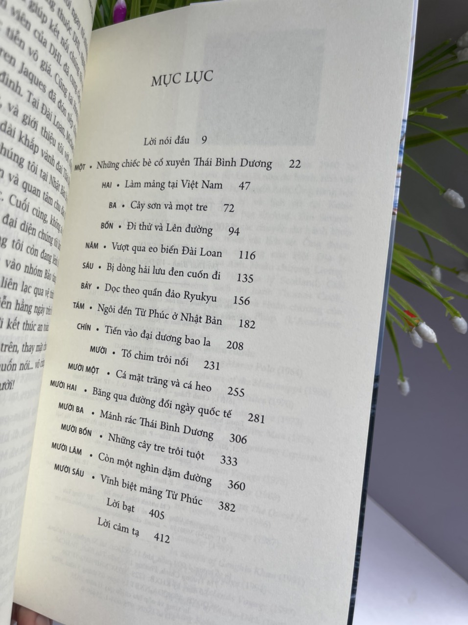 (In lần thứ 2- bổ sung 16 trang ảnh màu) BÈ TRE VIỆT NAM DU KÝ - 5500 DẶM VƯỢT THÁI BÌNH DƯƠNG - Tim Severin – Đỗ Thái Bình và Vũ Diệu Linh dịch -NXB Trẻ