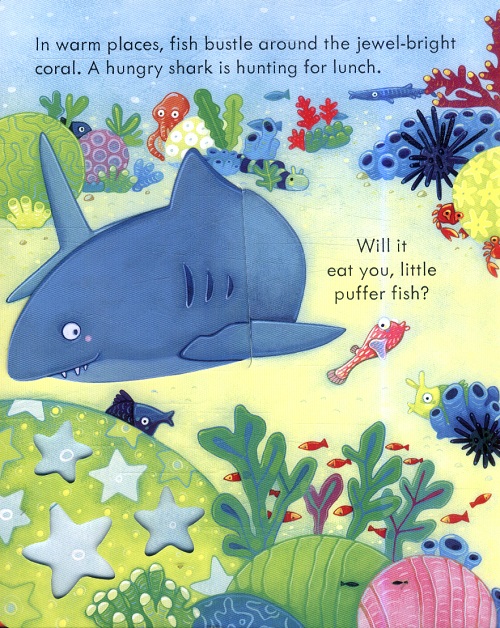 Sách - Anh: Peep inside The sea