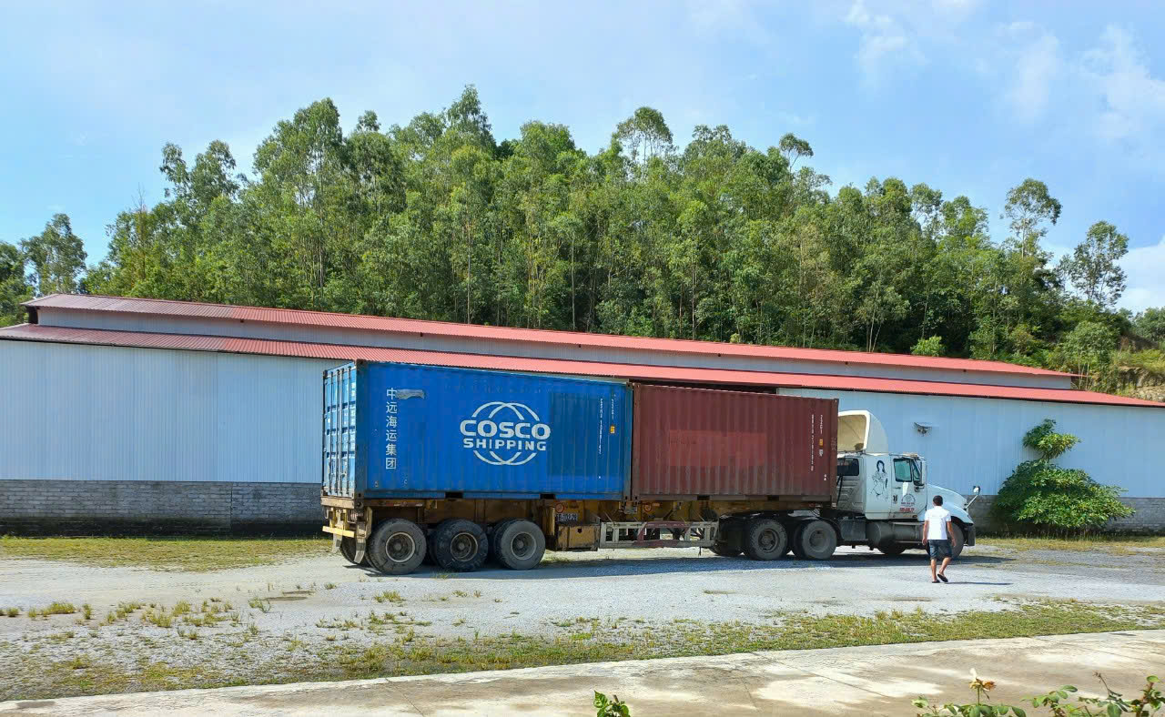 Bạt phủ ( màu xanh) buông cao cấp Macsim dành cho các xe sang, xe khai trương, xe trưng bày trong các showroom xe mới