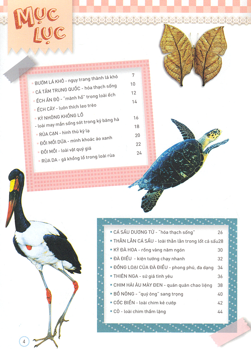 Thiên Nhiên- Những Bí Mật Còn Ẩn Giấu - Động Vật Quý Hiếm (Tái Bản 2019)- 2HBooks