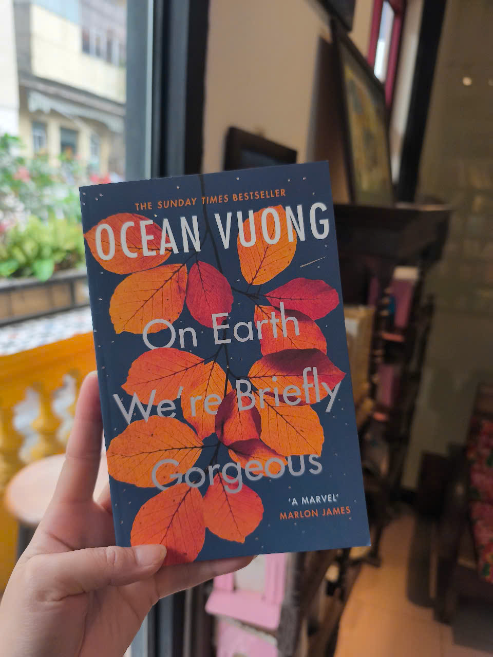 Sách - On Earth We’re Briefly Gorgeous by Ocean Vuong - Tiểu thuyết tiếng Anh/Novel/Fiction - Pulitzer Prize Winner