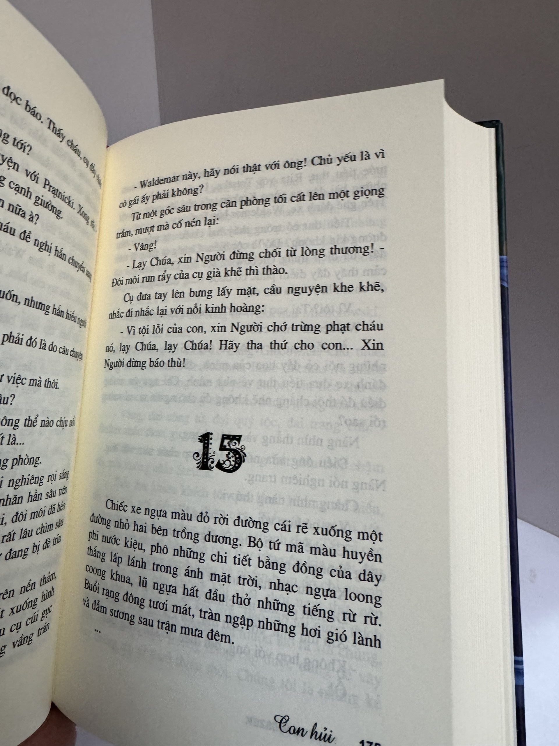 (Tái bản năm 2023) (Bìa cứng) CON HỦI - Helena Mniszek - Nguyễn Hữu Dũng dịch – Huy Hoang Bookstore – NXB Văn học