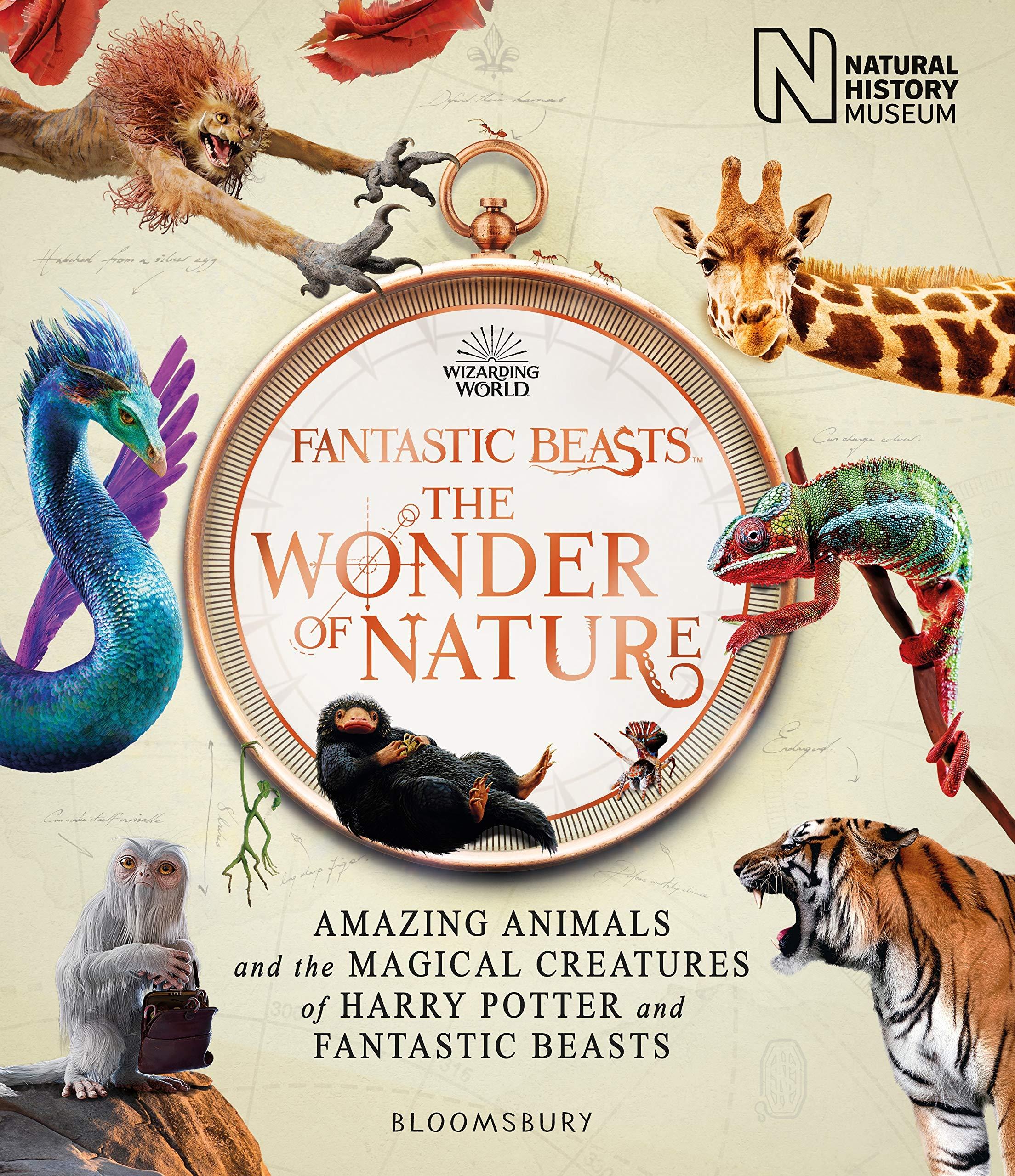 Fantastic Beasts: The Wonder of Nature (Amazing Animals and the Magical Creatures of Harry Potter and Fantastic Beasts) (Paperback)