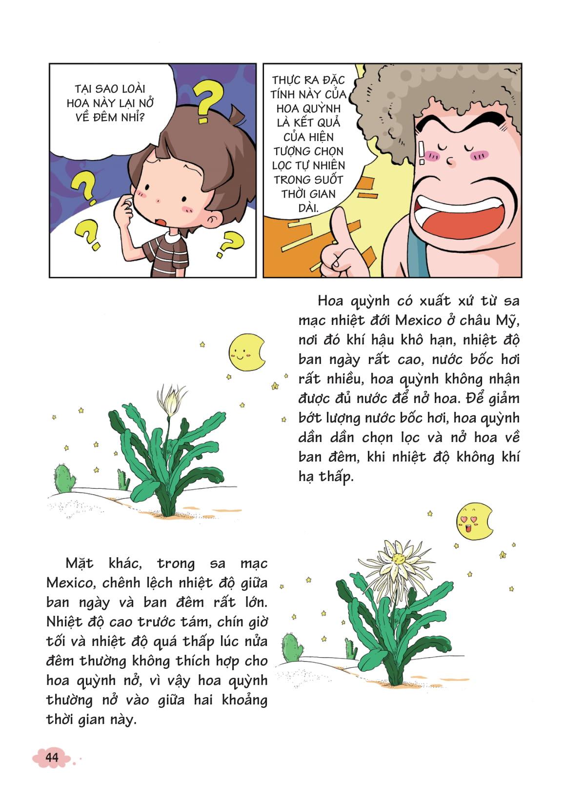 10 Vạn Câu Hỏi Vì Sao - Khám Phá Thế Giới Thực Vật (Tái Bản 2018)