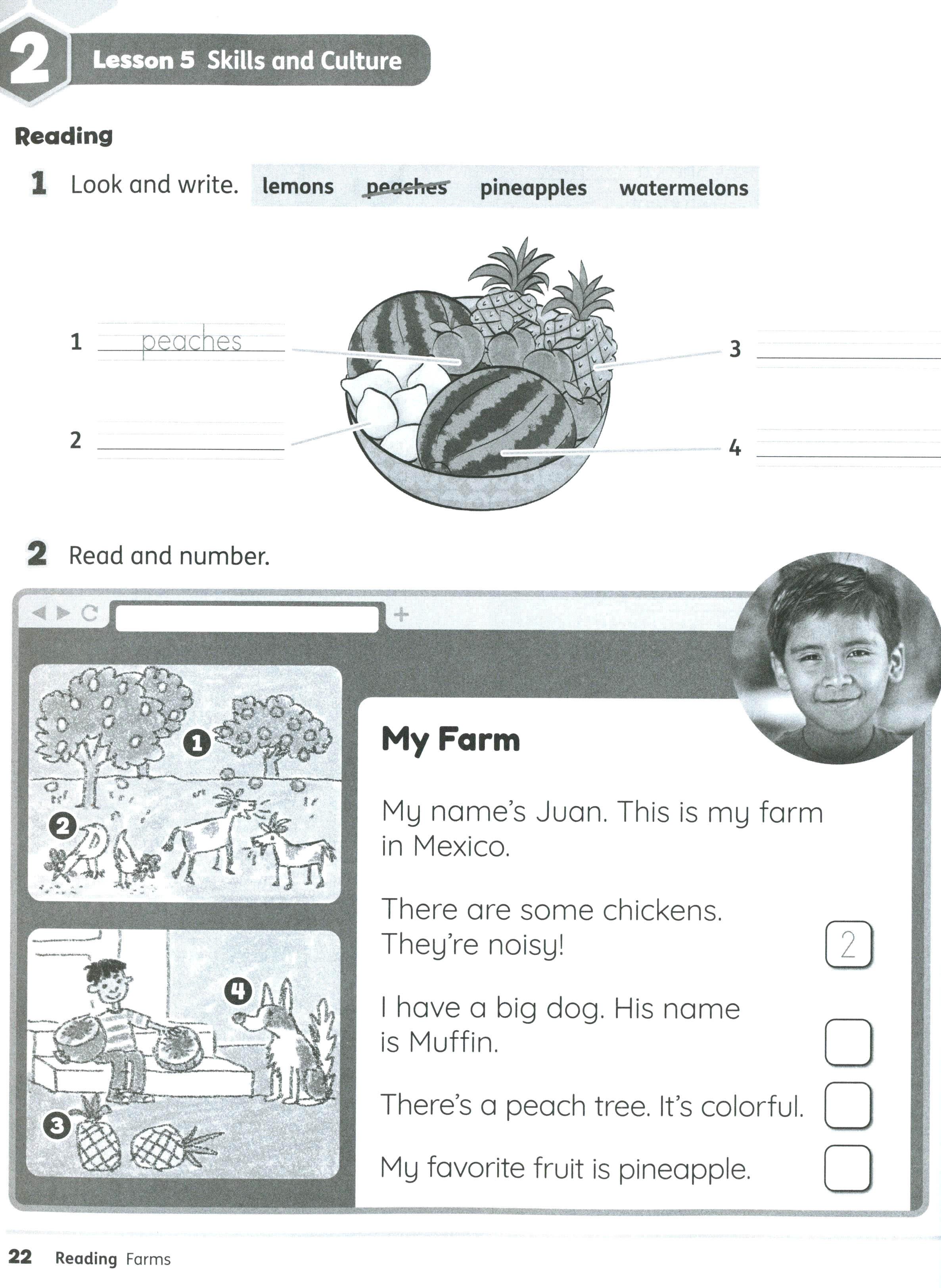 Buzz 2 Workbook