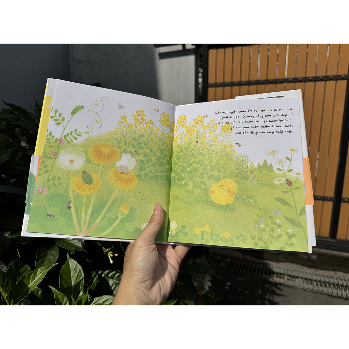 Gà con và hoa hướng dương