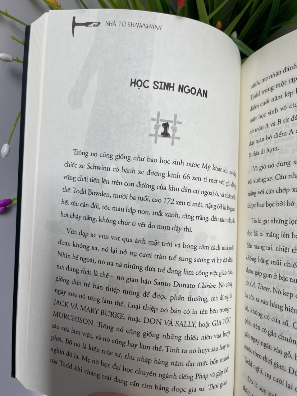 (The 1# New York Times Best Seller) THE SHAWSHANK REDEMPTION - NHÀ TÙ SHAWSHANK - Stephen King – Đỗ Phan Thu Hà dịch – 1980 Books – NXB Thanh Niên