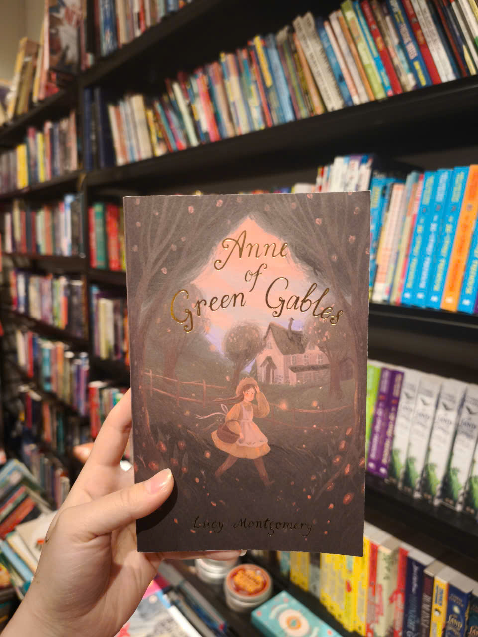 Sách - Anne of Green Gables (Wordsworth Exclusive Collection) by L.M. Montgomery - Classics /Fiction in English