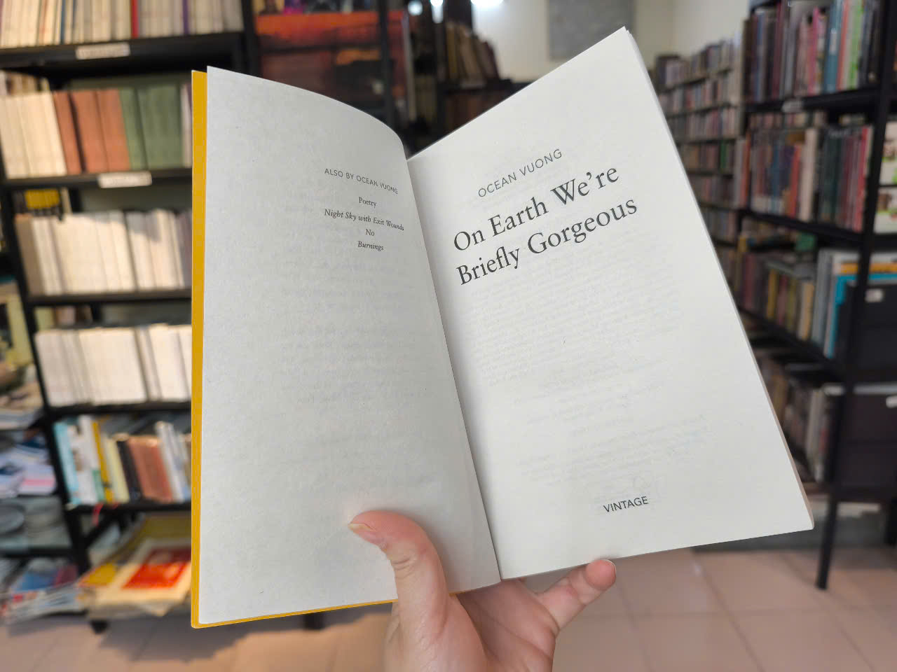 Sách - On Earth We’re Briefly Gorgeous by Ocean Vuong - Tiểu thuyết tiếng Anh/Novel/Fiction - Pulitzer Prize Winner