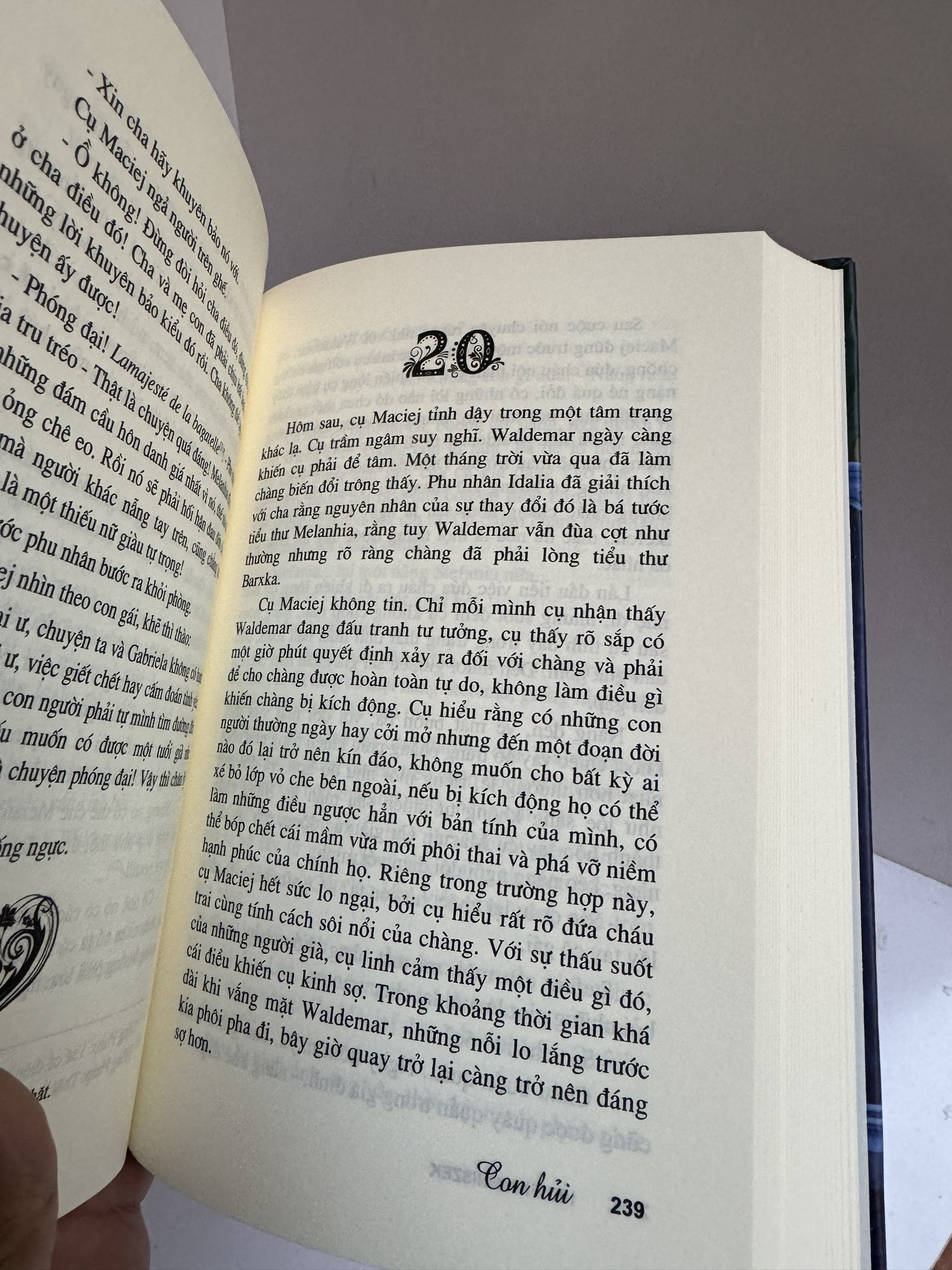 (Tái bản năm 2023) (Bìa cứng) CON HỦI - Helena Mniszek - Nguyễn Hữu Dũng dịch – Huy Hoang Bookstore – NXB Văn học