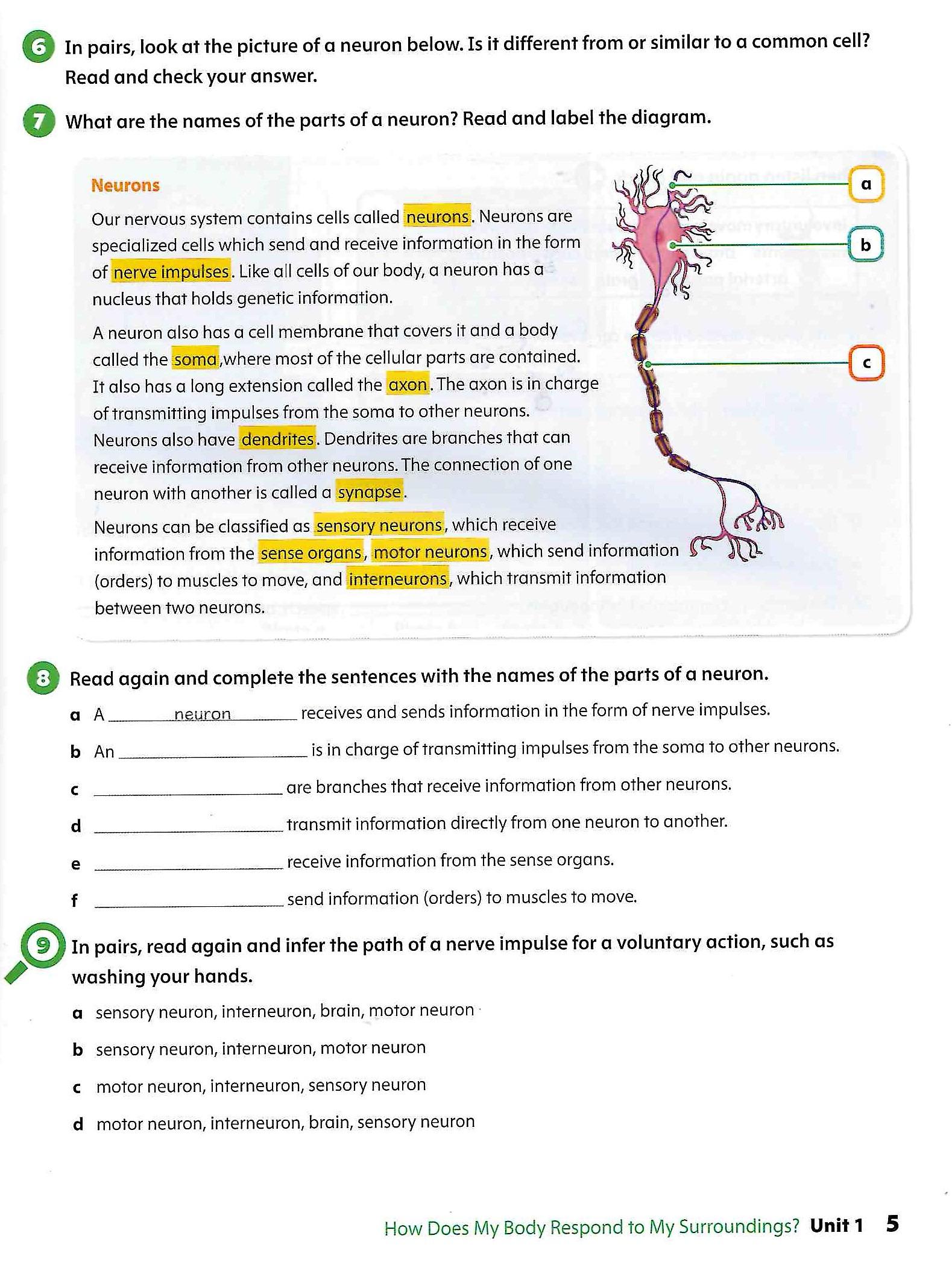 Oxford Discover Science 2nd Edition: Level 6: Student Book With Online Practice