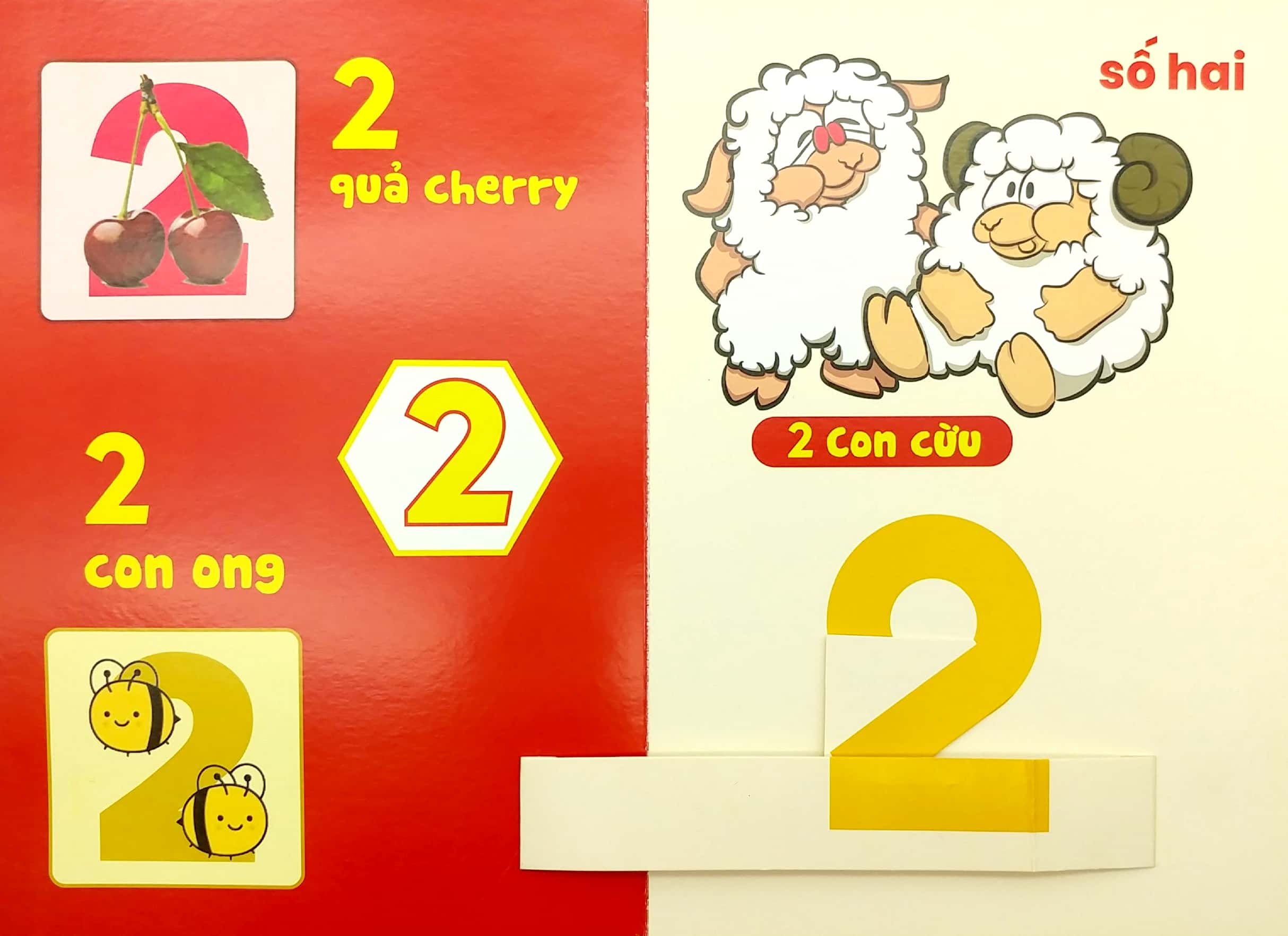 Bé Vui Học Số (popup dựng hình)