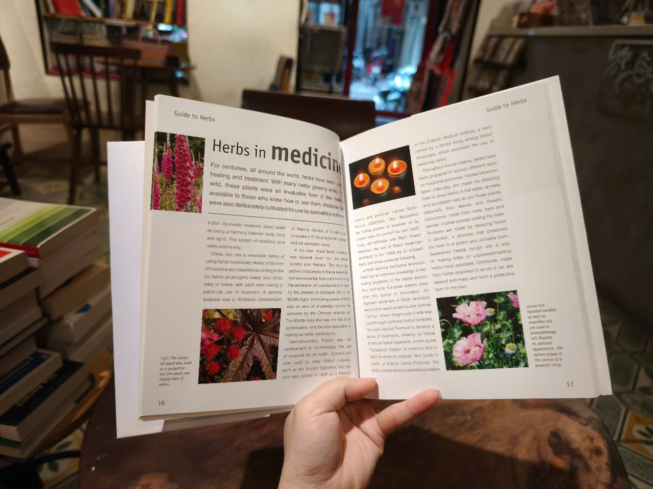Sách - Guide to Herb With Journal by Jenny Linford - Sách tiếng Anh/ English Book - Sách về thảo Mộc - Medicine