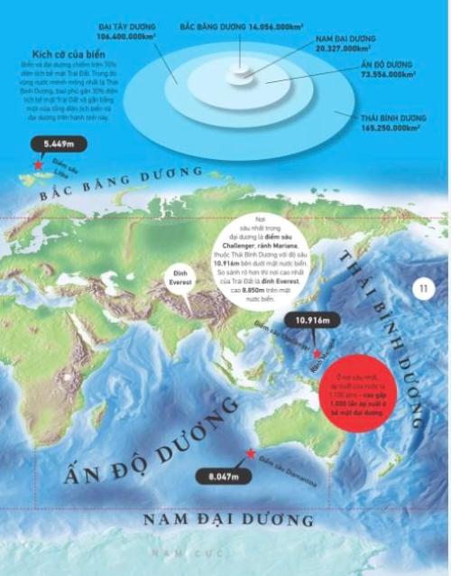 Sách - Atlas vạn vật (Atlas of Everything) (Nhã Nam HCM)