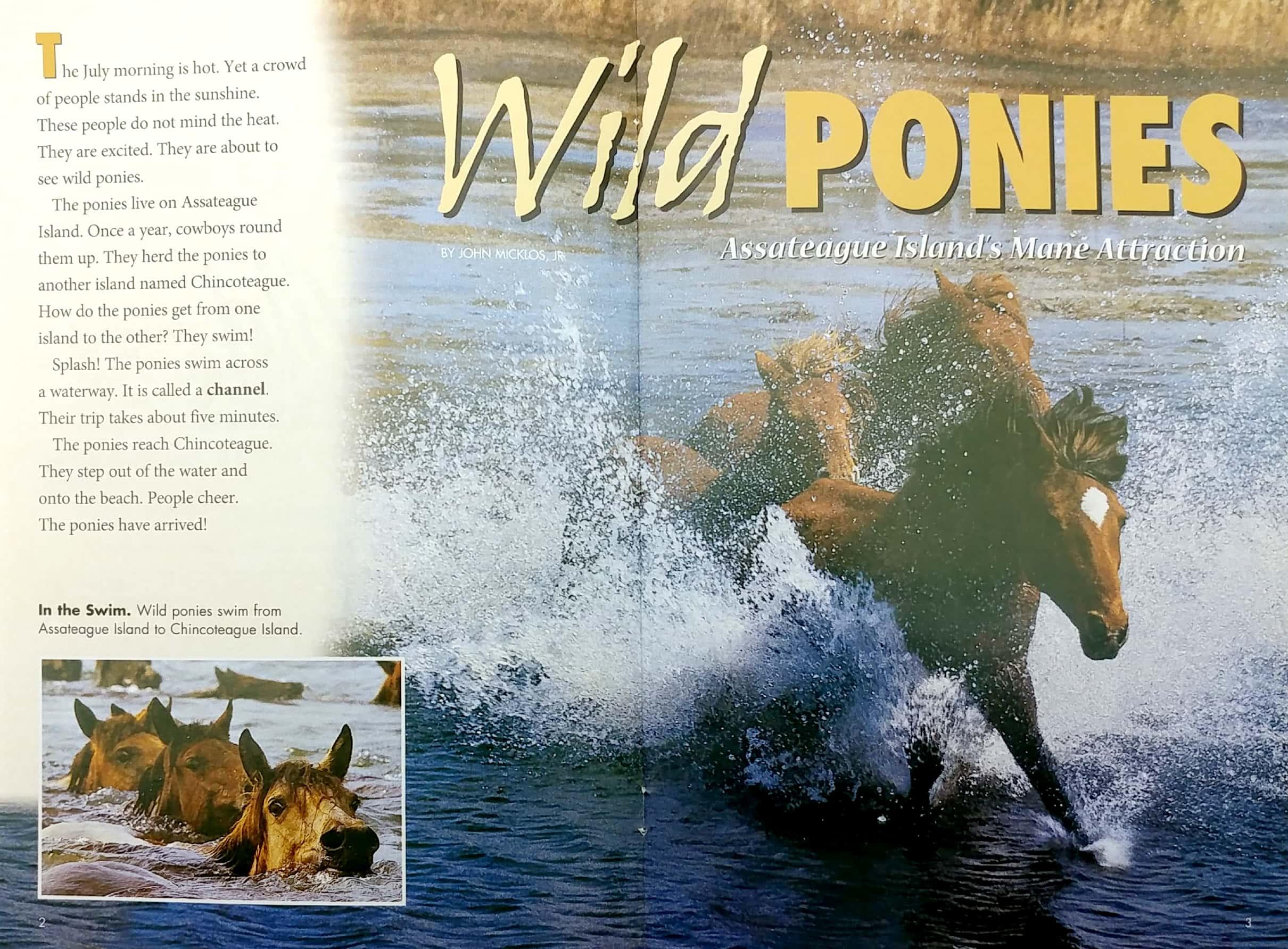 Explore on Your Own Life Science Pioneer Wild Ponies