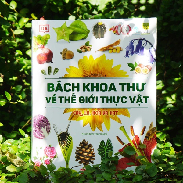 Cây, Lá, Hoa Và Hạt