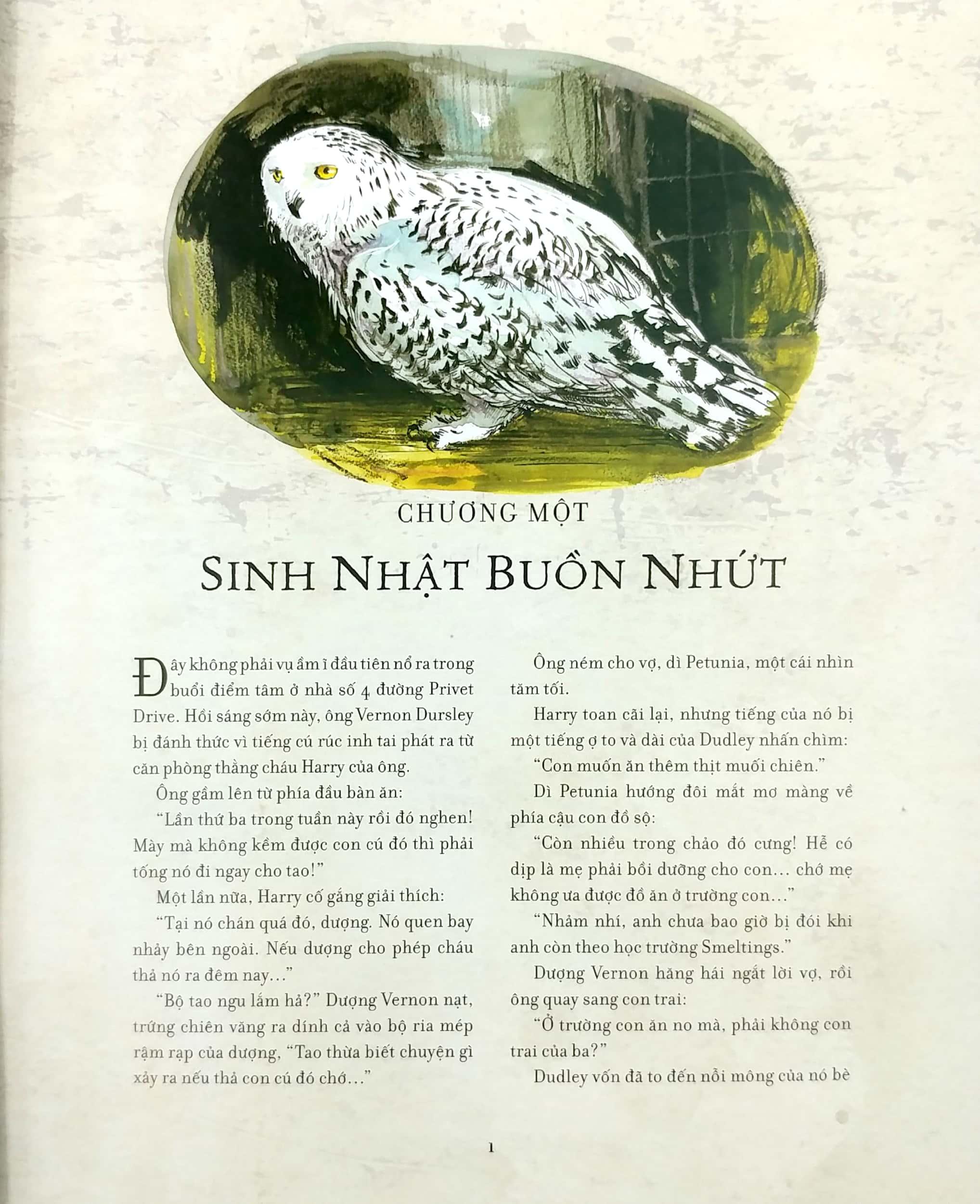 Harry Potter Và Phòng Chứa Bí Mật - Tập 2 (Bản Đặc Biệt Có Tranh Minh Họa Màu)
