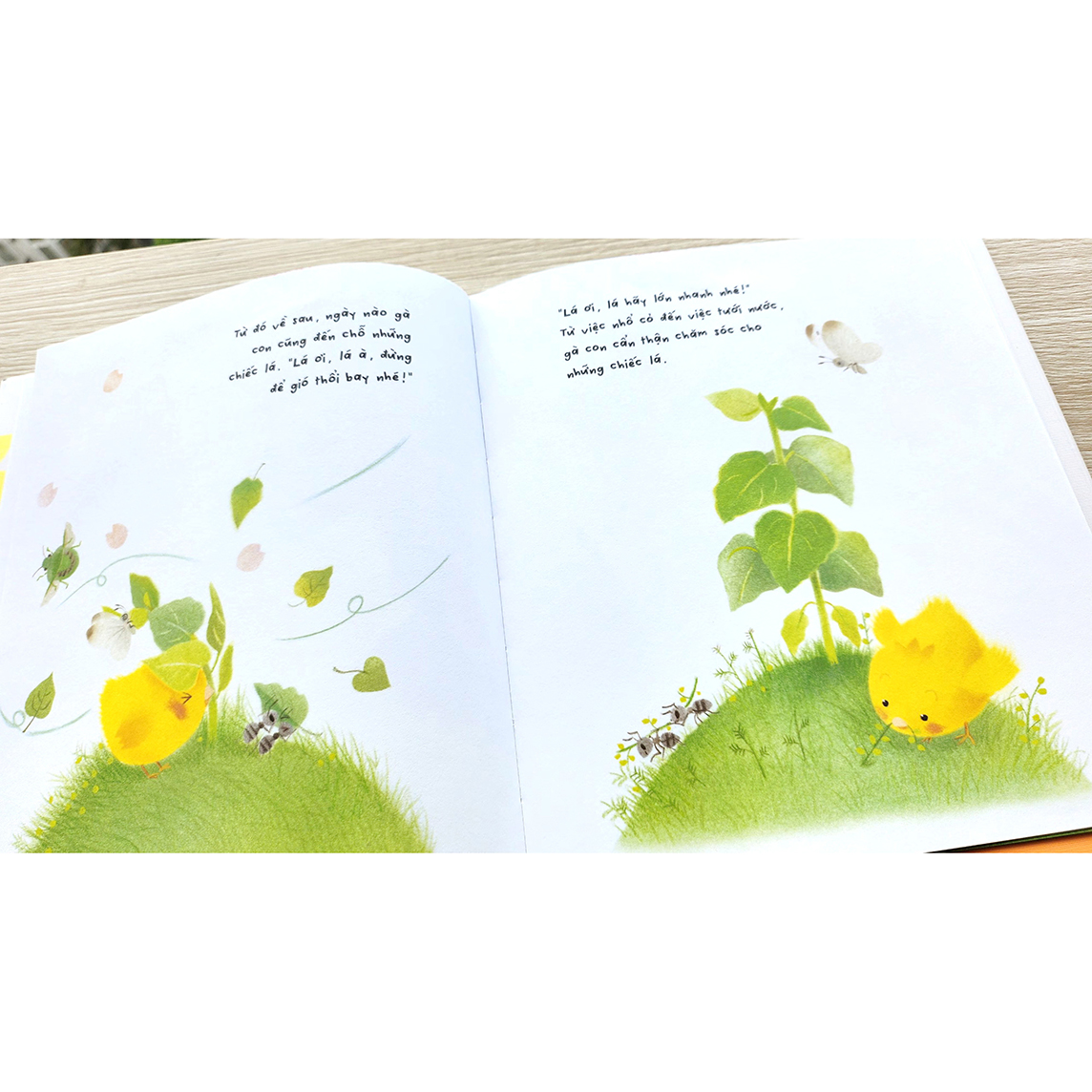Gà con và hoa hướng dương