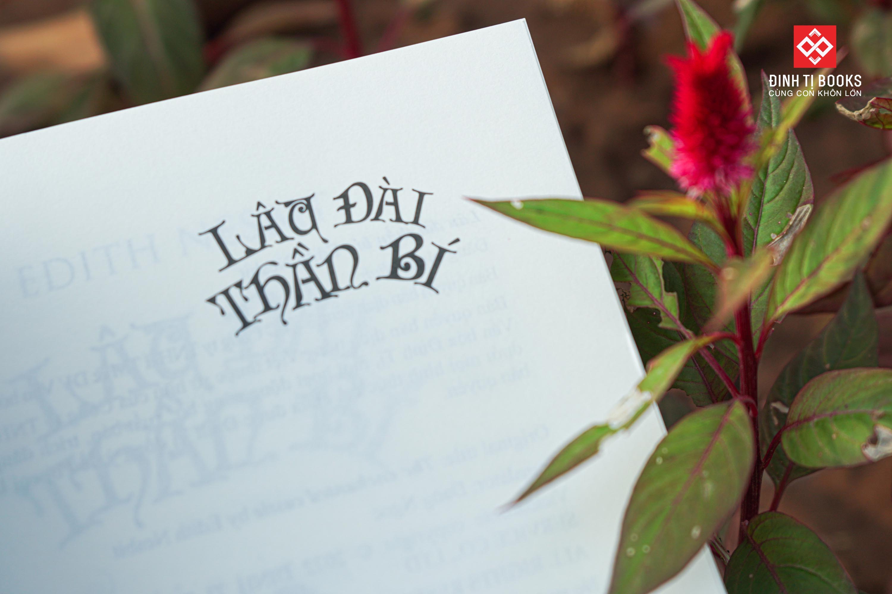 Sách - Lâu đài thần bí - Đinh Tị Books