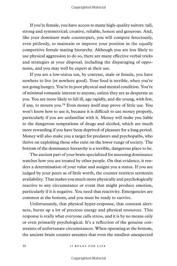 12 Rules For Life: An Antidote To Chaos