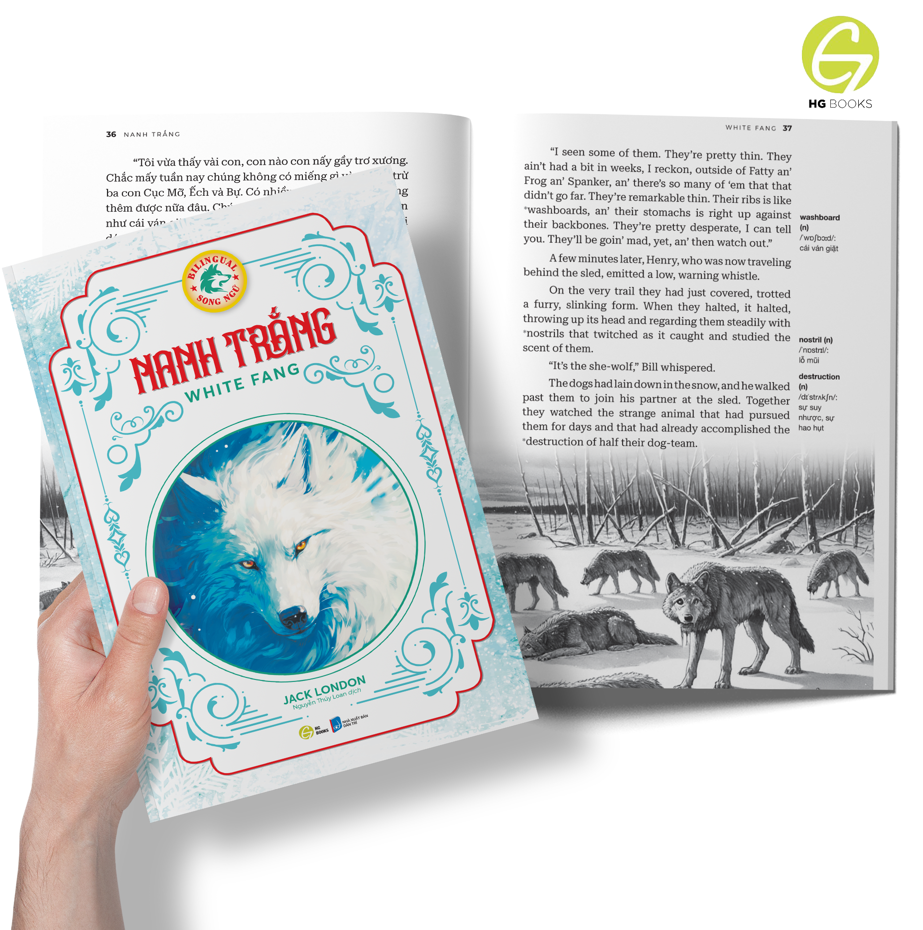 Nanh Trắng - Sách song ngữ văn học kinh điển, có note từ vựng tặng kèm file nghe - HG Books