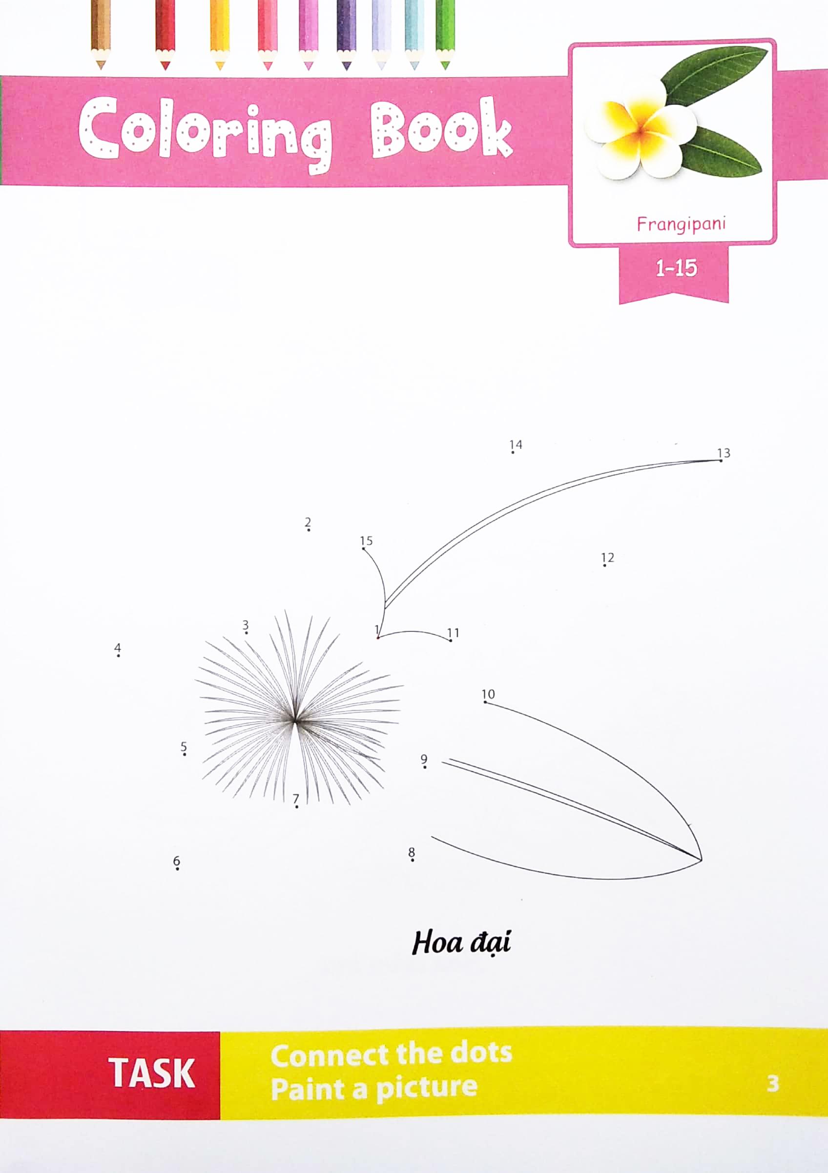 Dot To Dot Coloring Book - Nối Số & Tô Màu - Các Loài Hoa