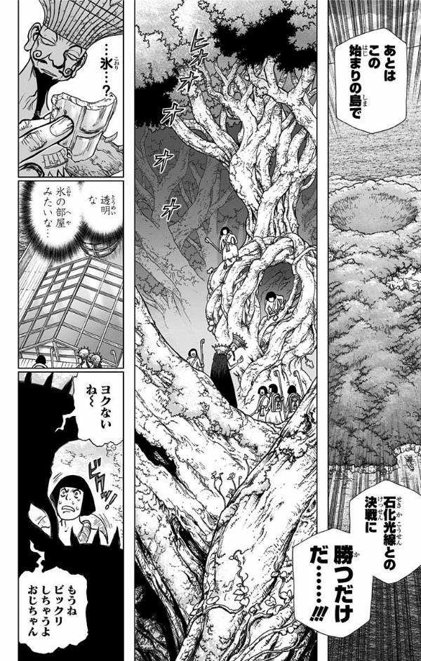 DR. STONE 14 (ジャンプコミックス)
