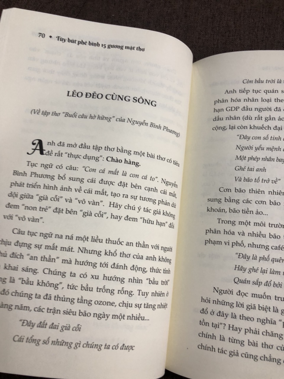Tùy Bút Phê Bình 15 Gương Mặt Thơ - Hoàng Liên Sơn (PHÊ BÌNH VĂN HỌC)