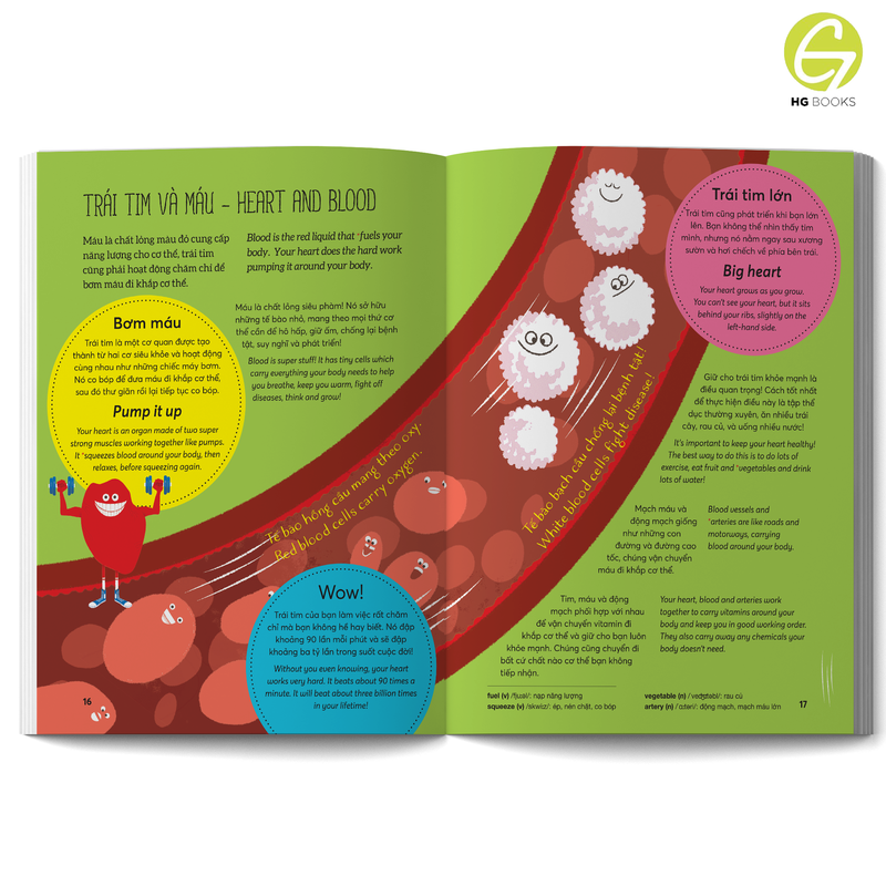 Wow! Your Body: Những sự thật đáng kinh ngạc về cơ thể người - Sách Bách khoa toàn thư Song ngữ cho trẻ em