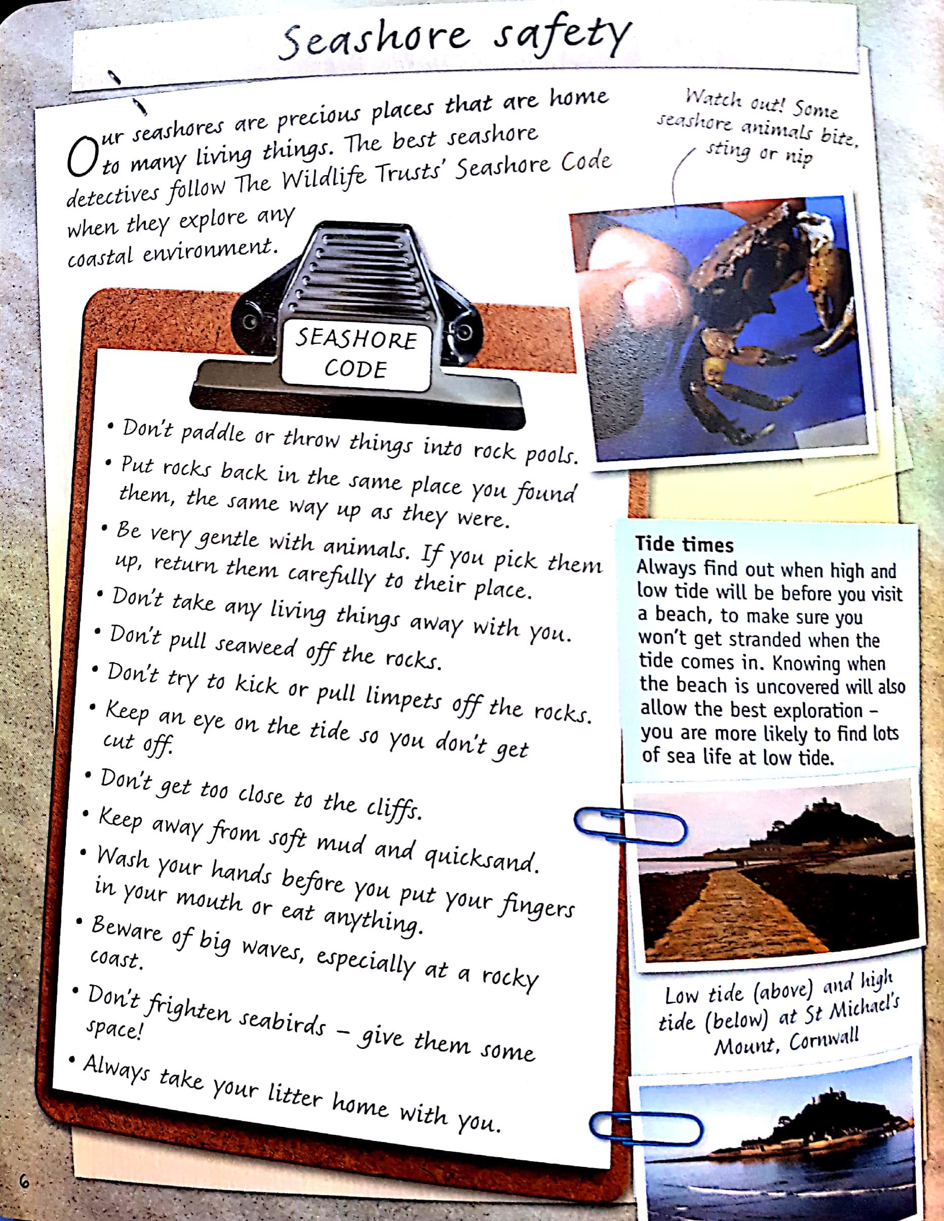 Handbook - Seashore