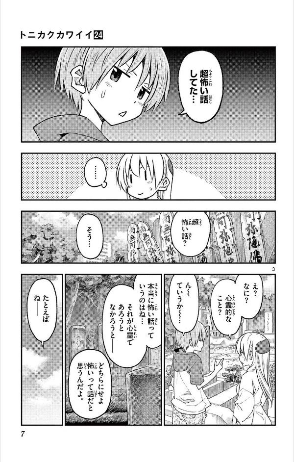 Tonikaku Kawaii 24 - Fly Me To The Moon 24 (Japanese Edition)
