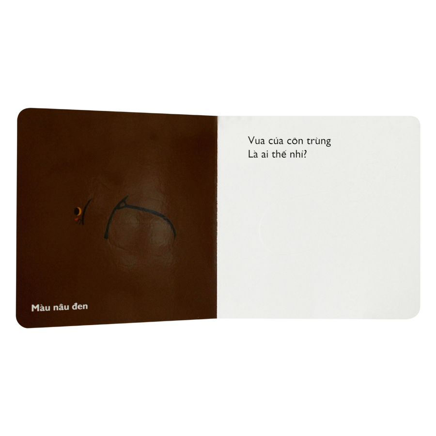 Cùng Chơi Trốn Tìm - Tập 10: Côn Trùng