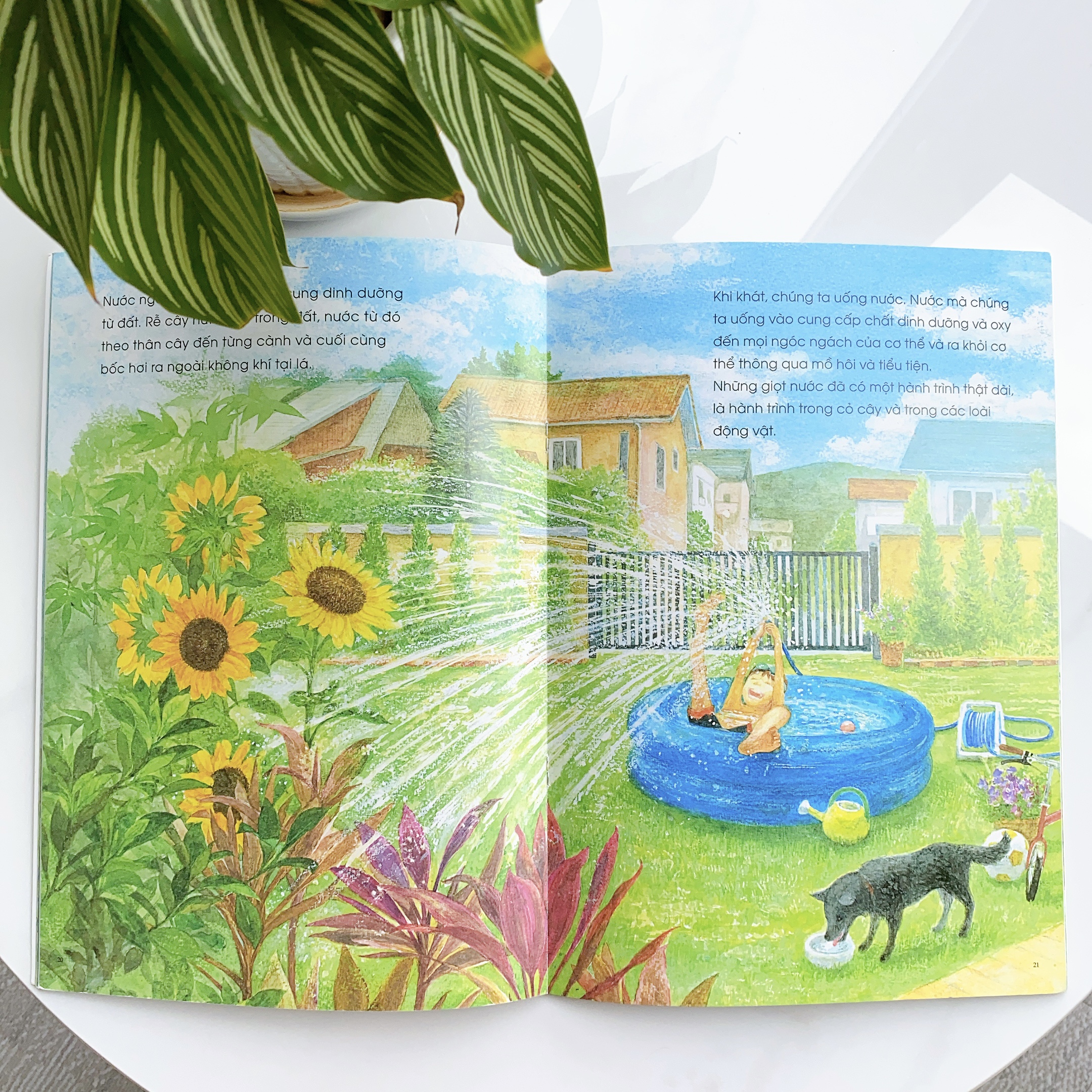 Sách Ehon - Phát triển tư duy - Câu chuyện của những giọt nước - Cho bé 3-6 tuổi
