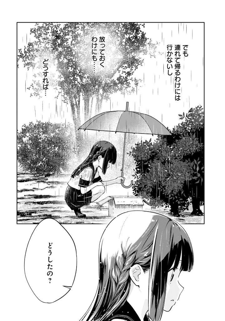 Seishun Buta Yaro Wa Yumemiru Shojo No Yume Wo Minai 1 (Japanese Edition)