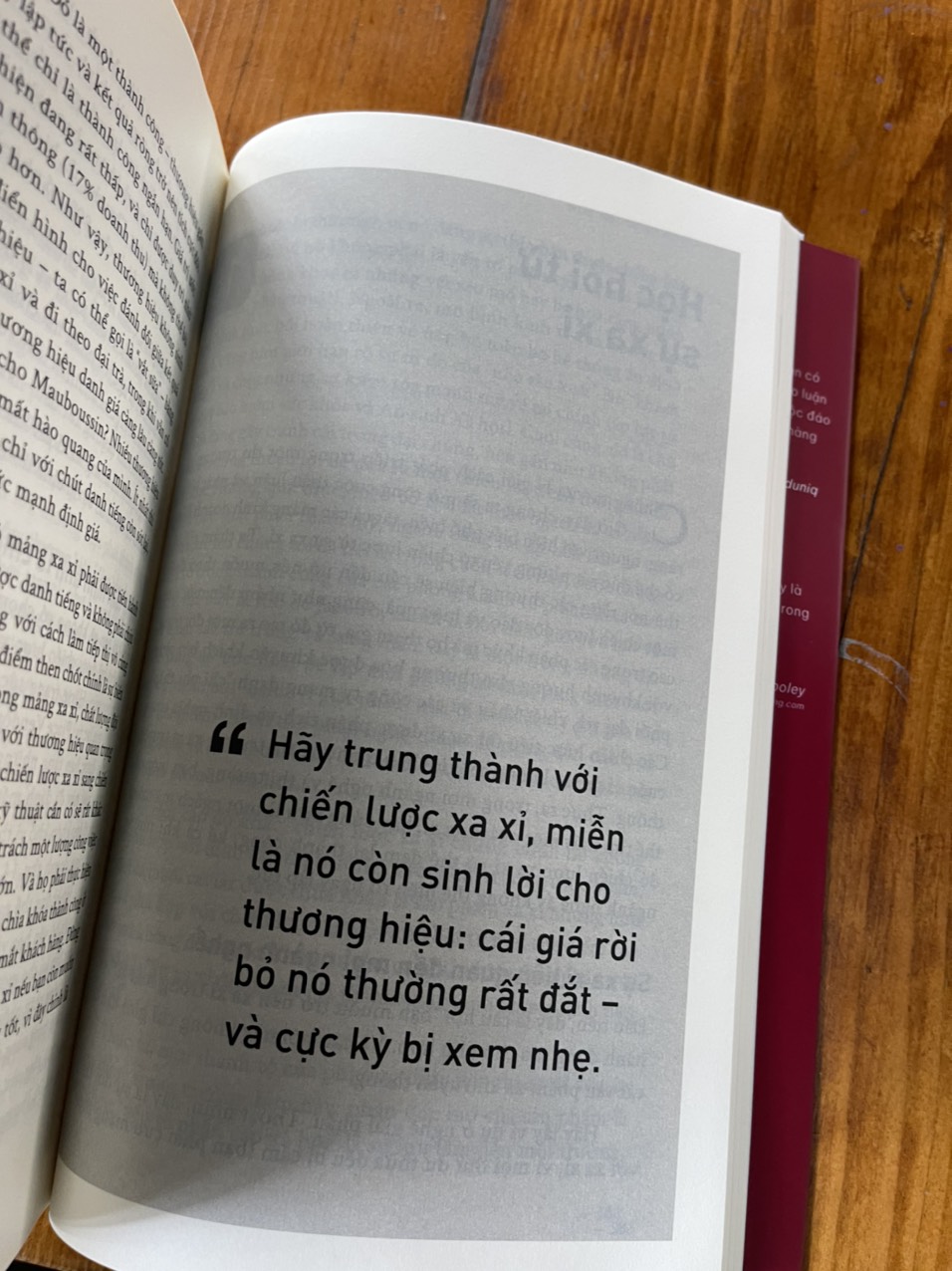 THE LUXURY STRATEGY: Chiến lược xa xỉ - Phá vỡ quy luật tiếp thị để xây dựng thương hiệu xa xỉ – Jean-Noël Kapferer, Vincent Bastie – Quang Thiệu dịch - Alpha Books