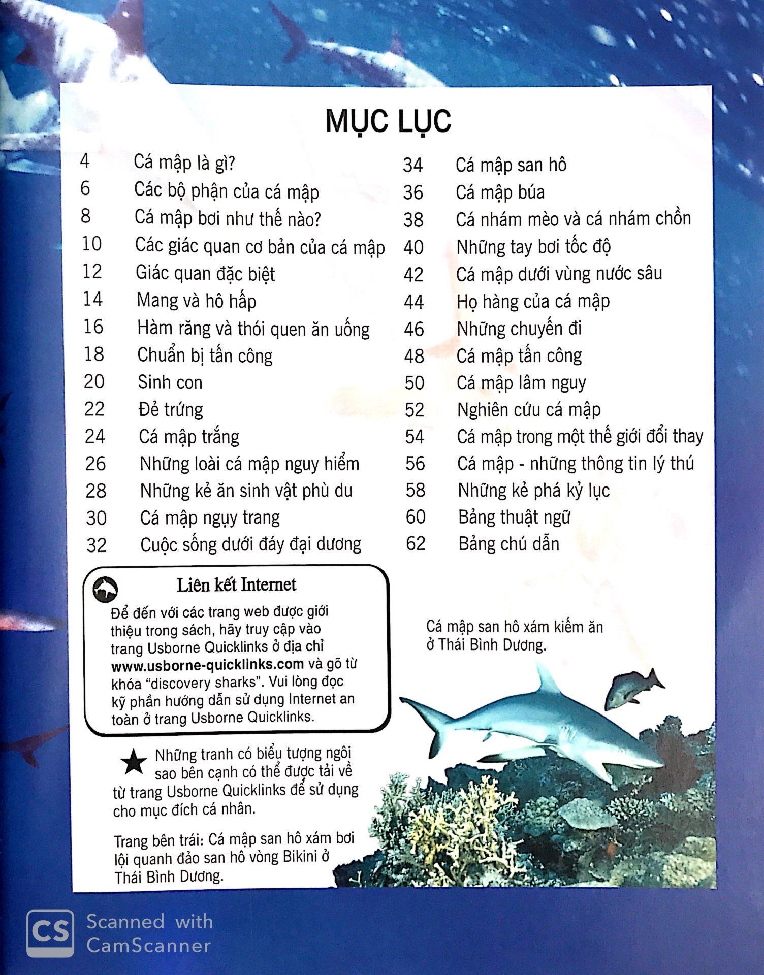Bách Khoa Tri Thức Về Khám Phá Thế Giới Cho Trẻ Em - Cá Mập (Tái Bản 2018)