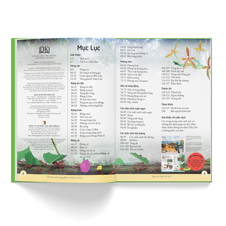Bách Khoa Cho Trẻ Em – Bách Khoa Tự Nhiên