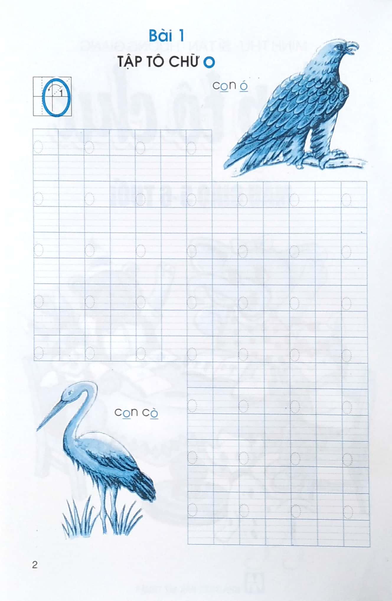 Tập Tô Chữ Mẫu Giáo 5 - 6 Tuổi