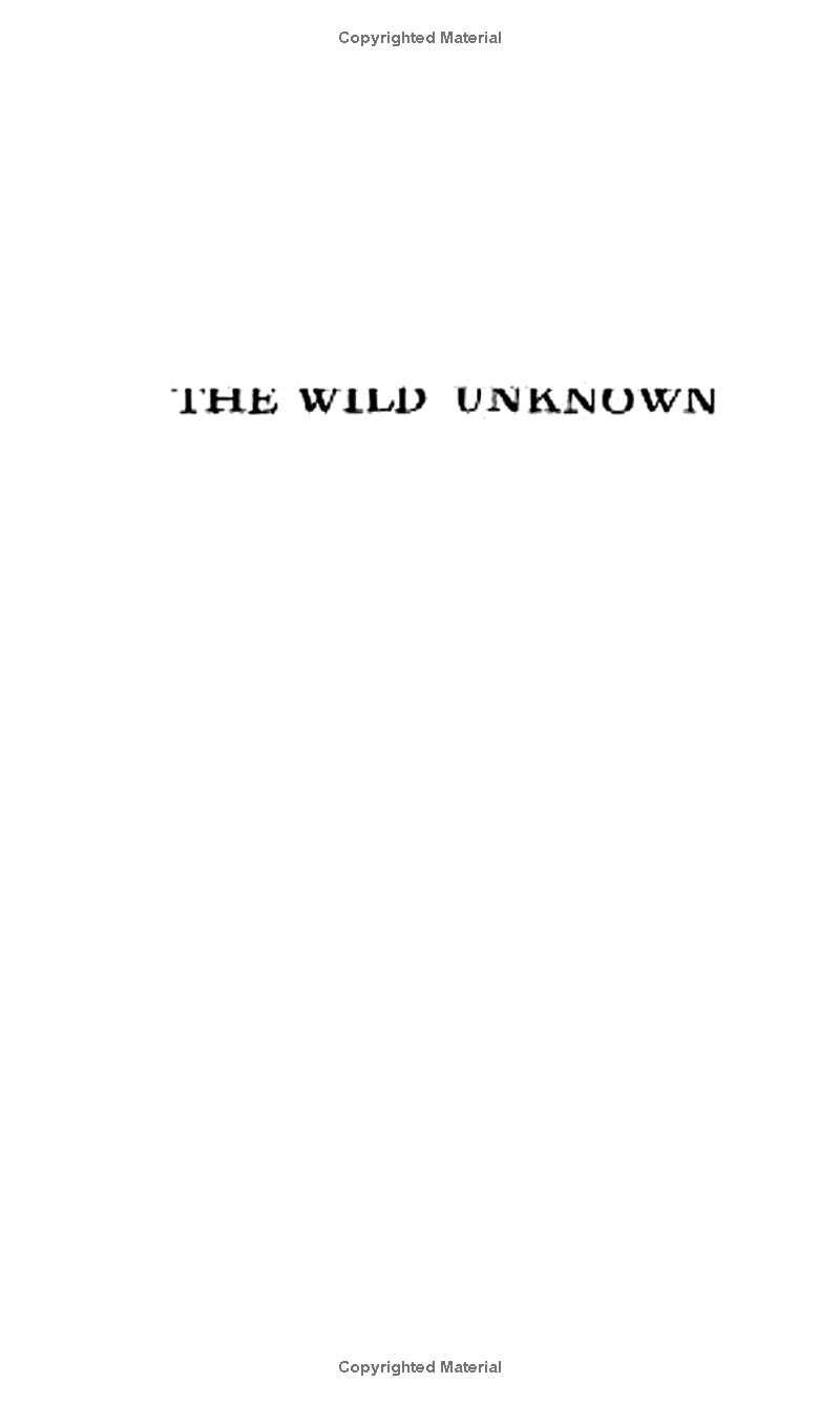 The Wild Unknown Pocket Tarot