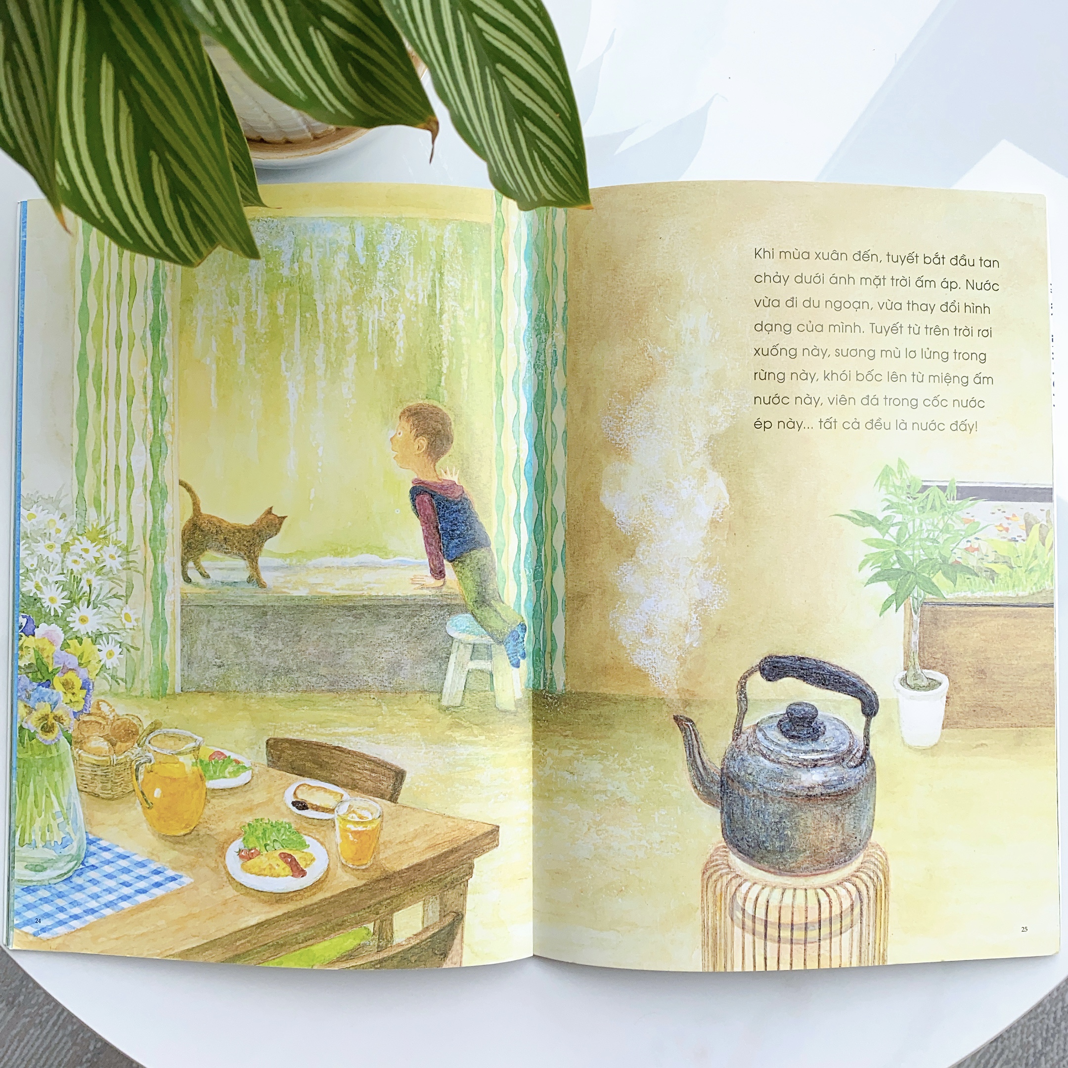 Sách Ehon - Phát triển tư duy - Câu chuyện của những giọt nước - Cho bé 3-6 tuổi