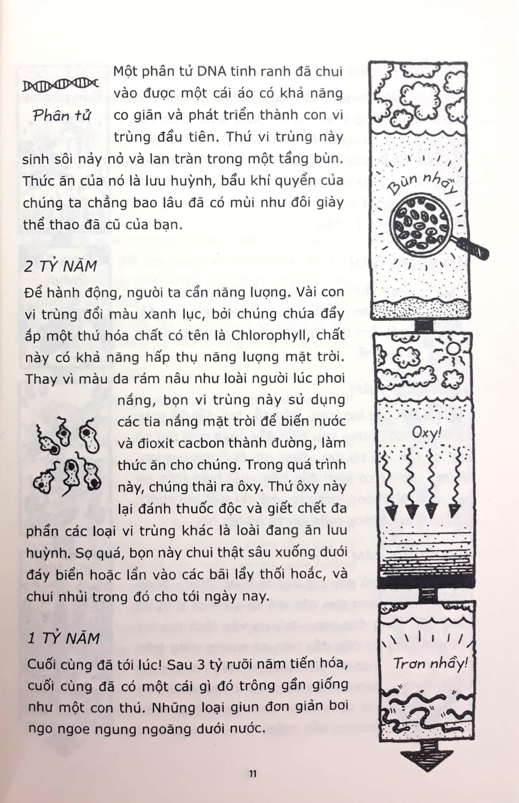 Horrible Science - Sinh Học Có Những Câu Chuyện Kỳ Diệu (Tái Bản)
