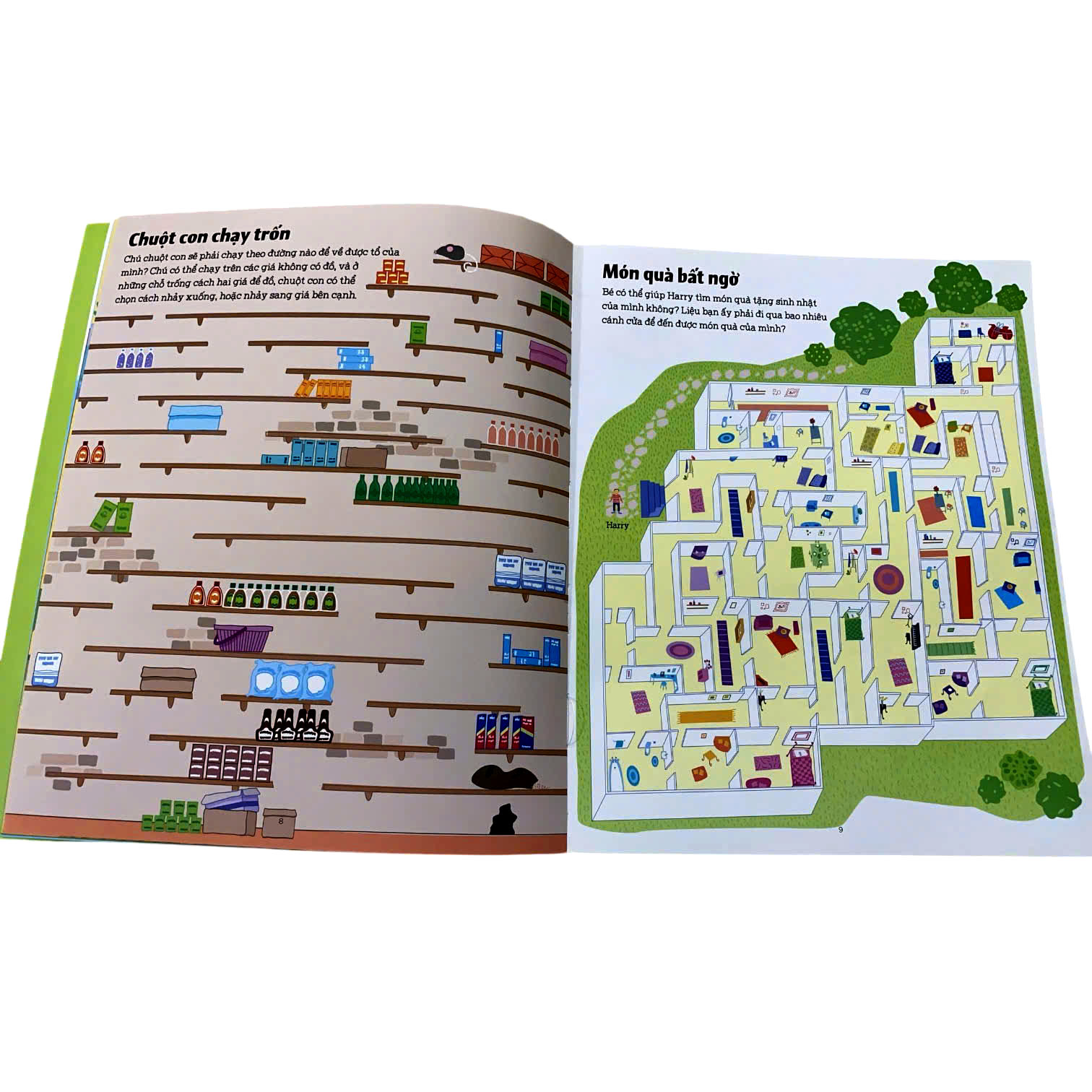 Mê Cung Phát Triển Tư Duy (Big Maze Book)