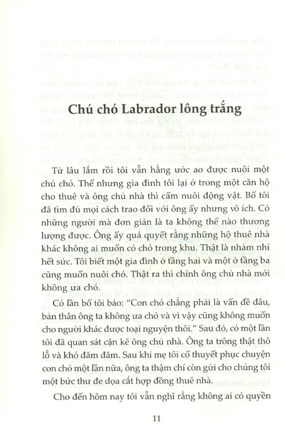 Thành Công Kí Sự Của Kira - Tiền Đẻ Ra Tiền (Tái Bản 2020)