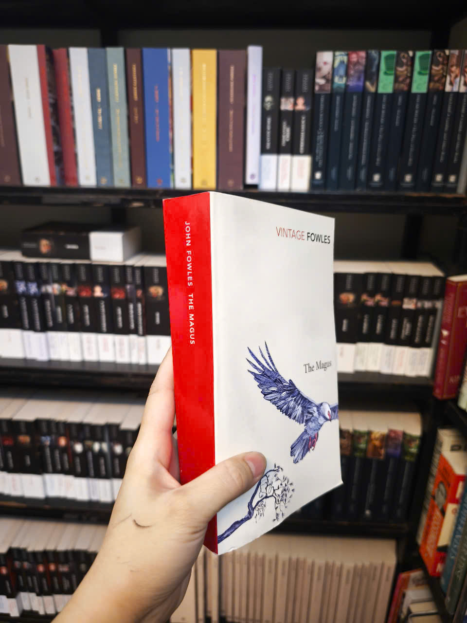 Sách - The Magus by John Fowles - Fiction/ Fantasy /Mystery in English