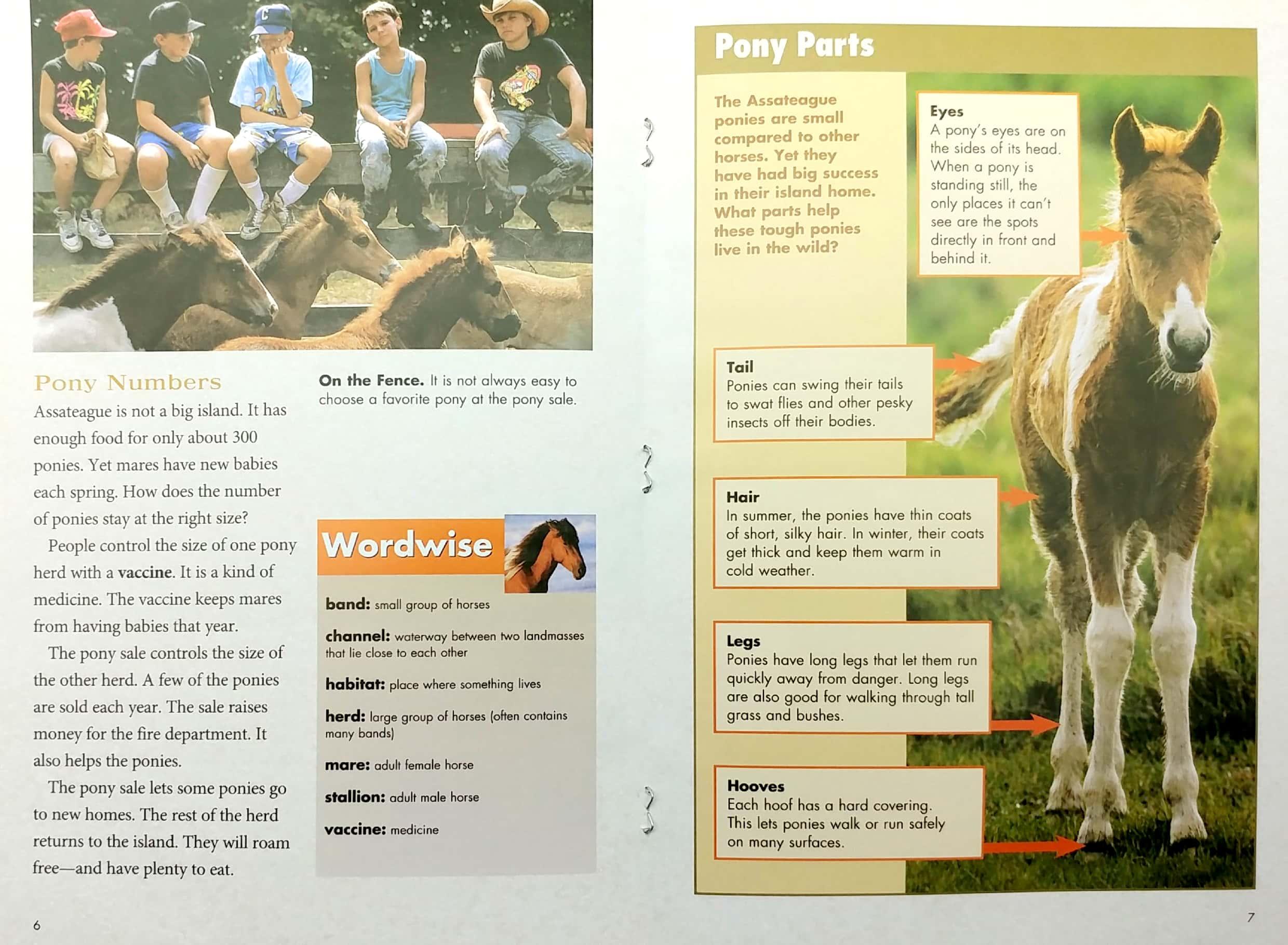 Explore on Your Own Life Science Pioneer Wild Ponies