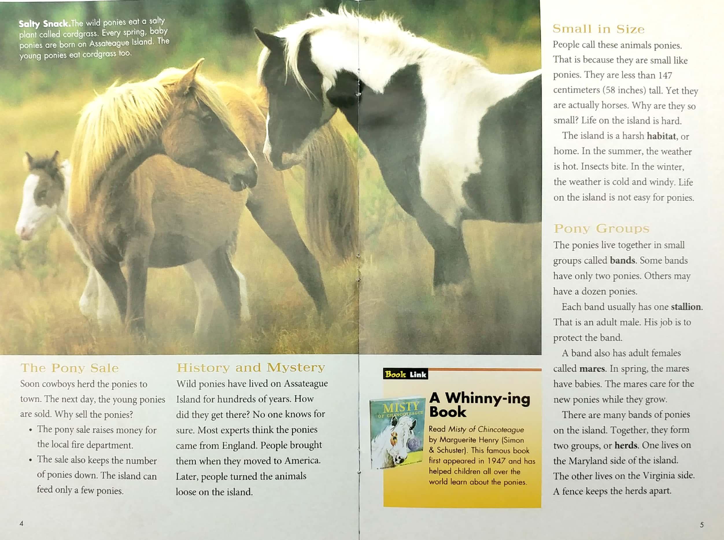 Explore on Your Own Life Science Pioneer Wild Ponies