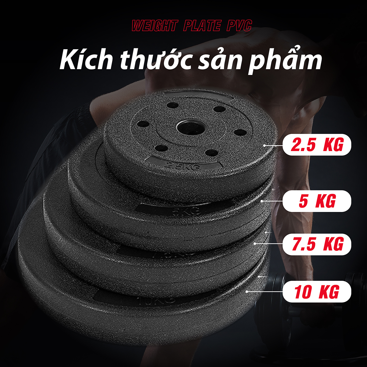 BG Bánh Tạ Nhựa 15kg Đặc Ruột - Sẵn Kho Giao Liền - Tạ Miếng Nhựa