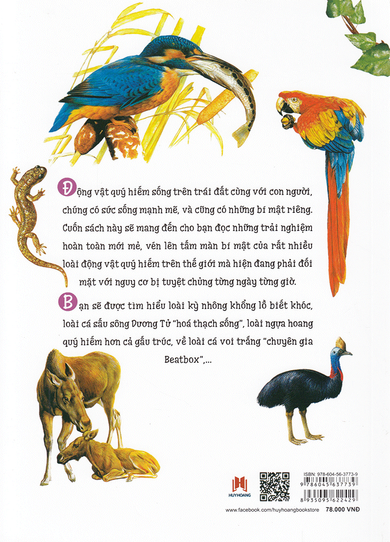 Thiên Nhiên- Những Bí Mật Còn Ẩn Giấu - Động Vật Quý Hiếm (Tái Bản 2019)- 2HBooks