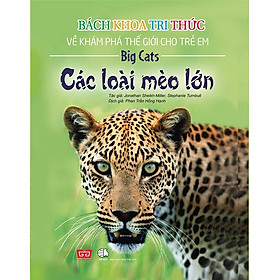 Bách Khoa Tri Thức Về Khám Phá Thế Giới Cho Trẻ Em - Các Loài Mèo Lớn (Tái Bản 2018)